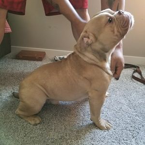 Meet your Posher, Jaquela